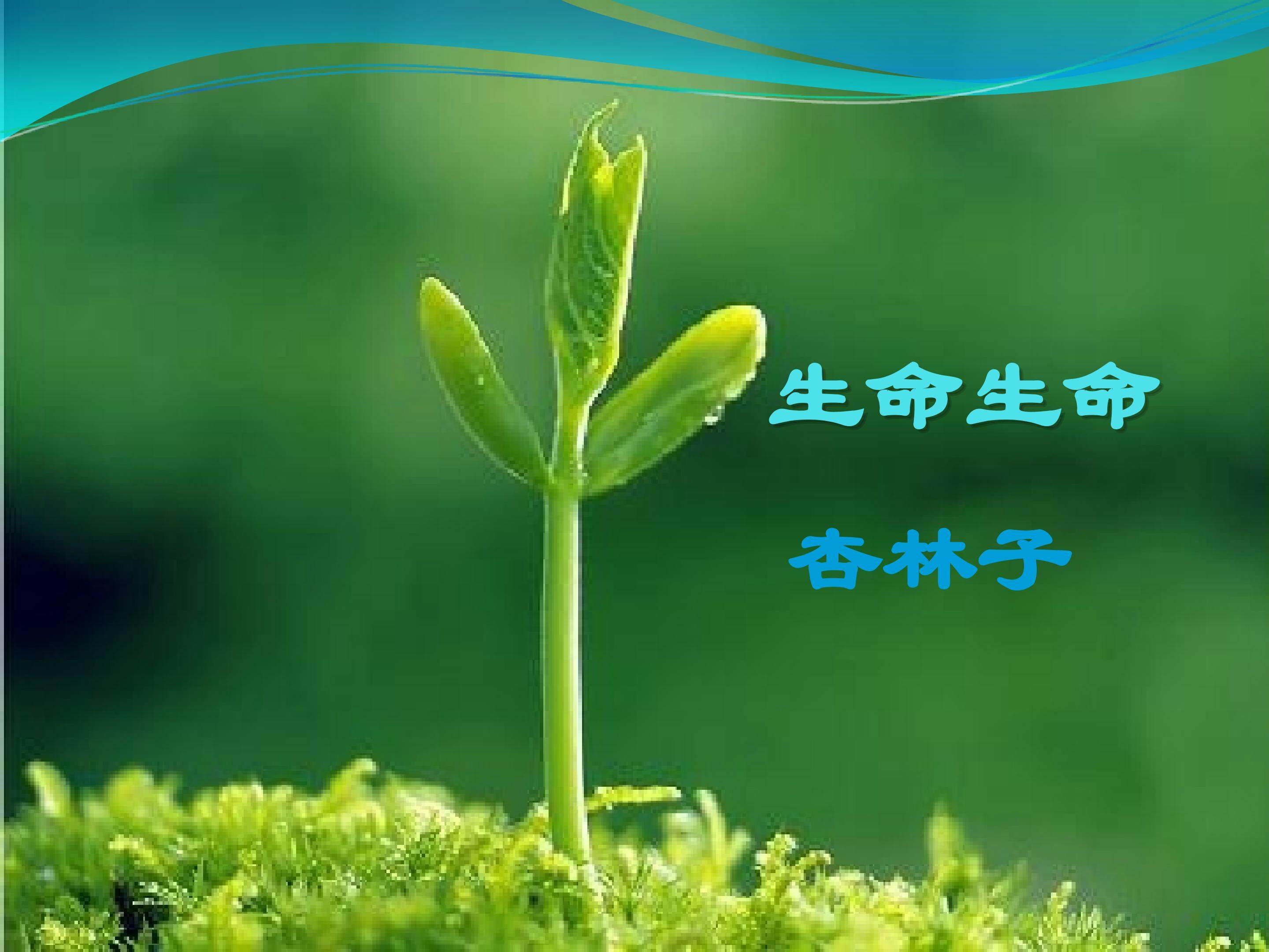 生命 生命