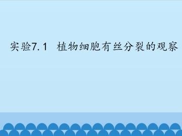实验7.1  植物细胞有丝分裂的观察_课件1