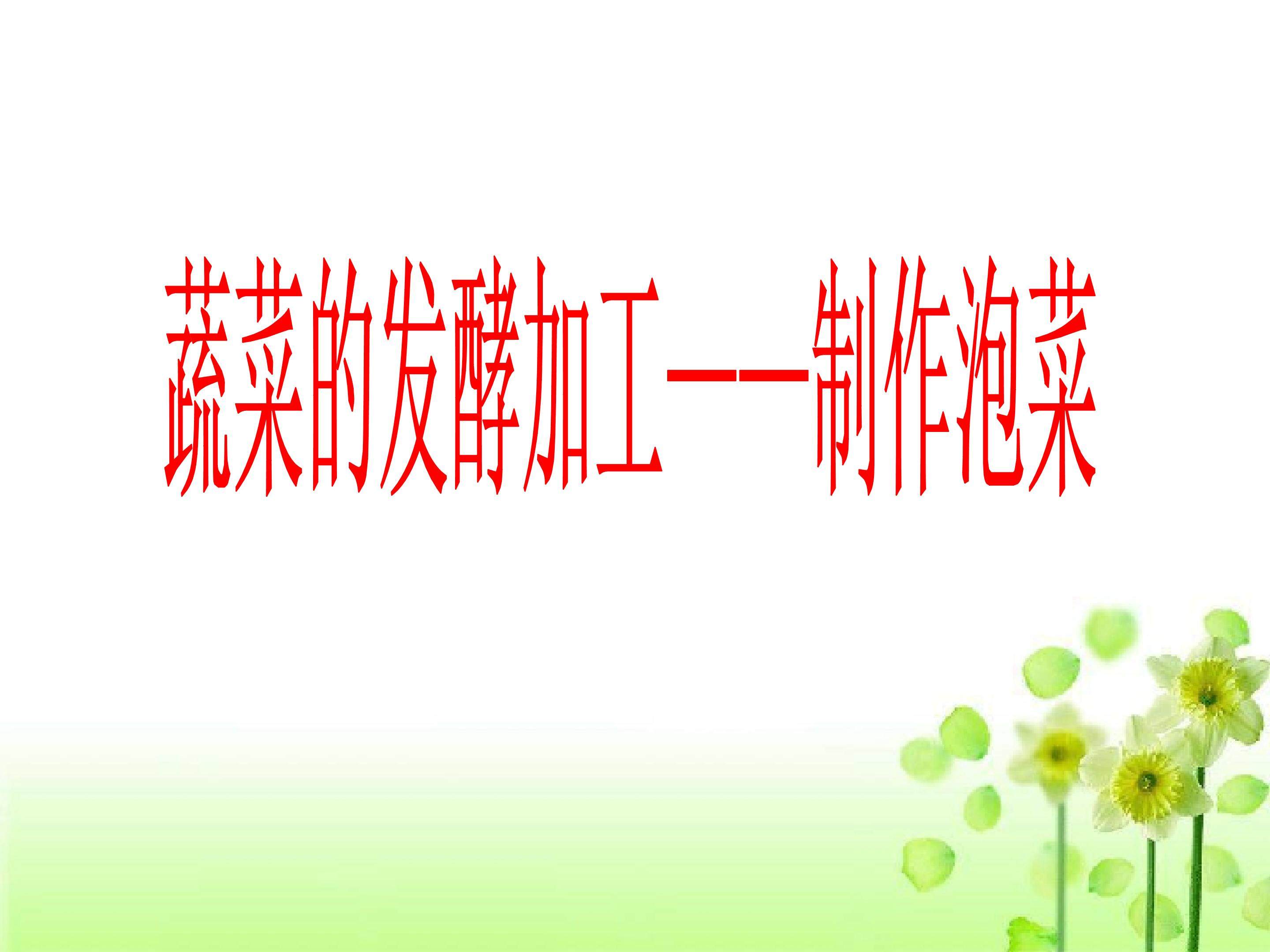 蔬菜的发酵加工——制作泡菜_课件1