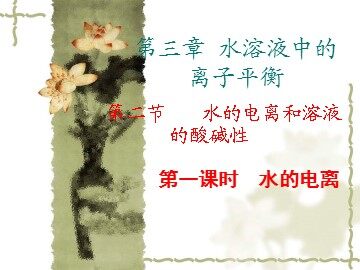 第二节 水的电离和溶液的酸碱性