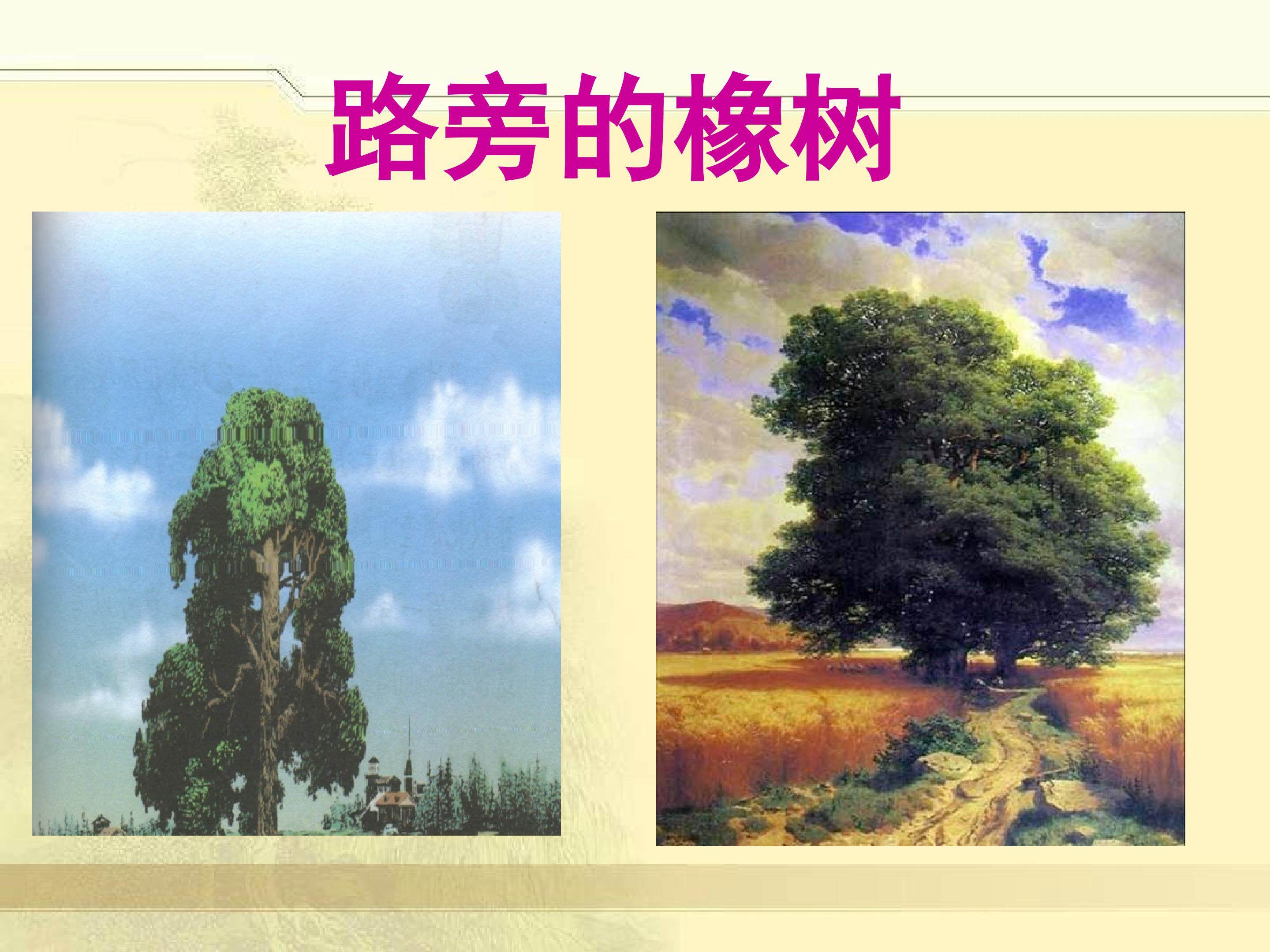 路旁的橡树