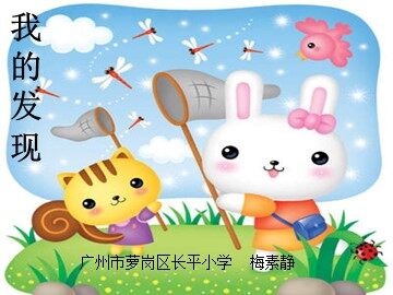 6、《我的发现》教学课件2