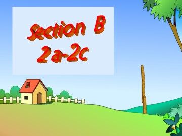 Section A