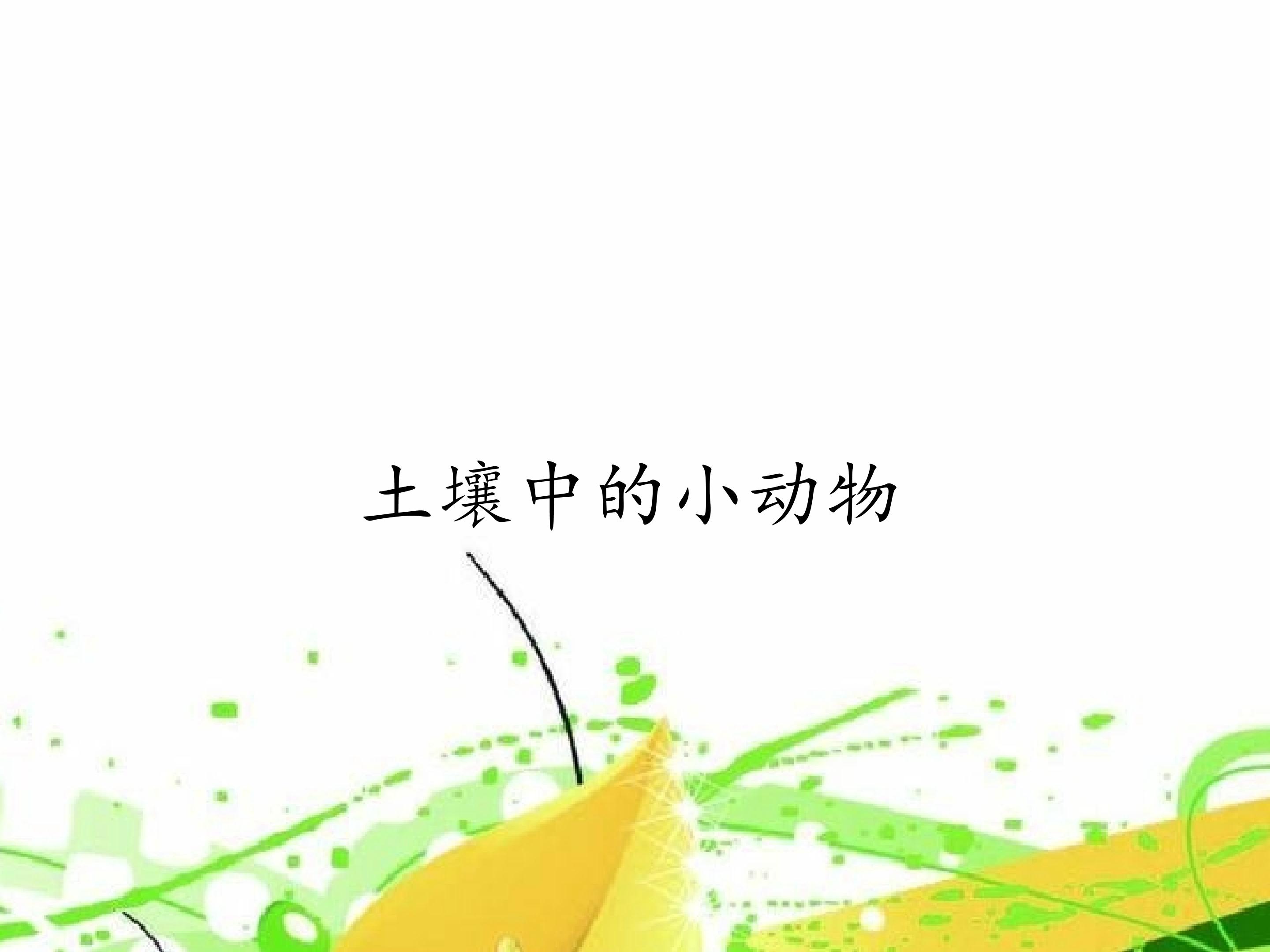 土壤中的小动物_课件1