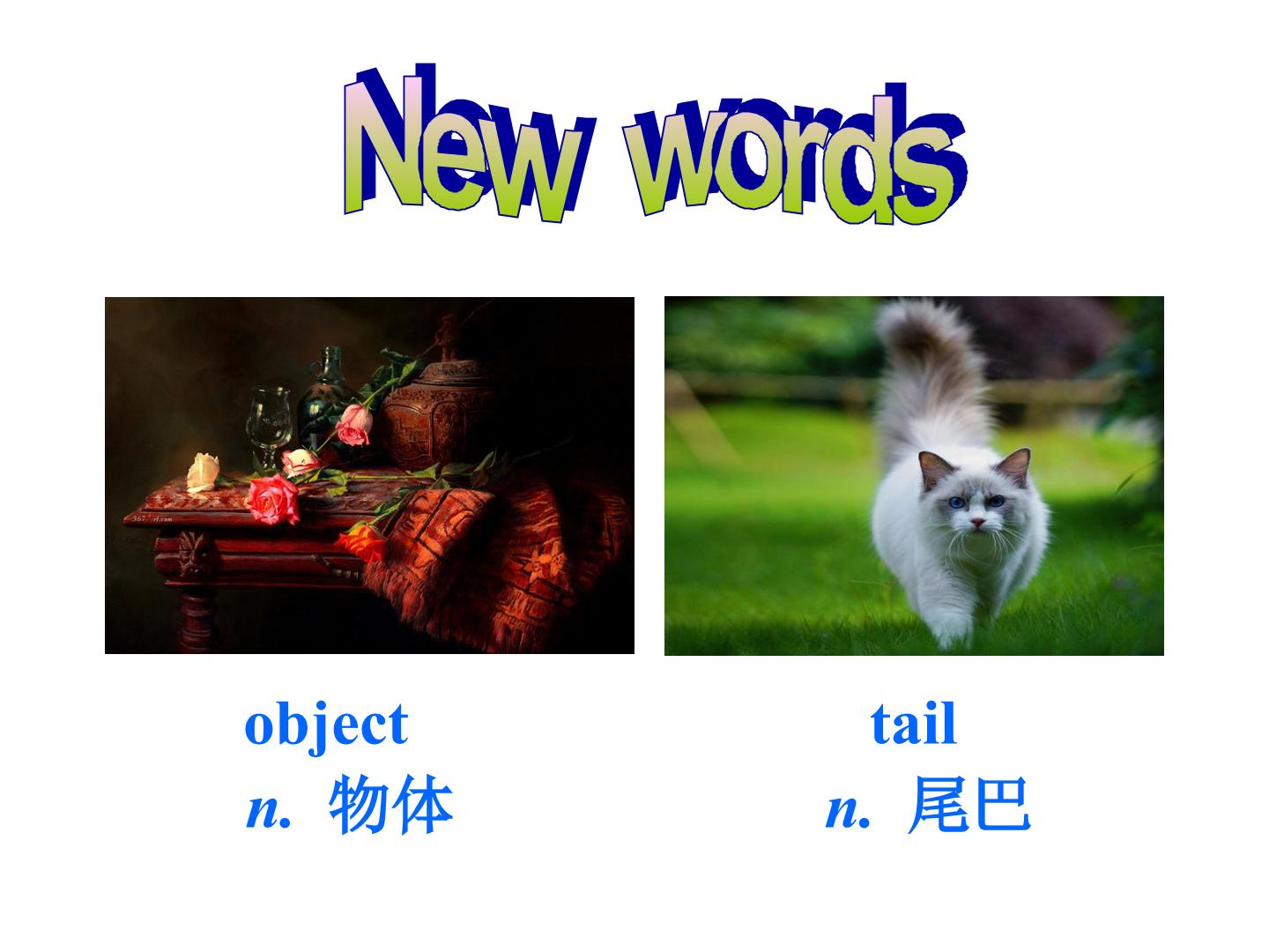 51.jpg