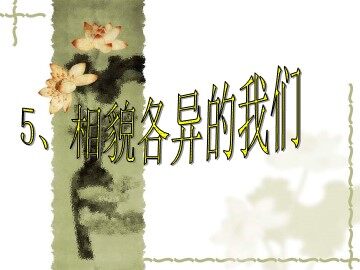 《相貌各异的我们》课件