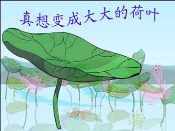 真想变成大大的荷叶_课件1