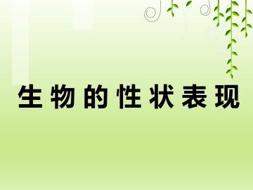 生物的性状表现_课件1