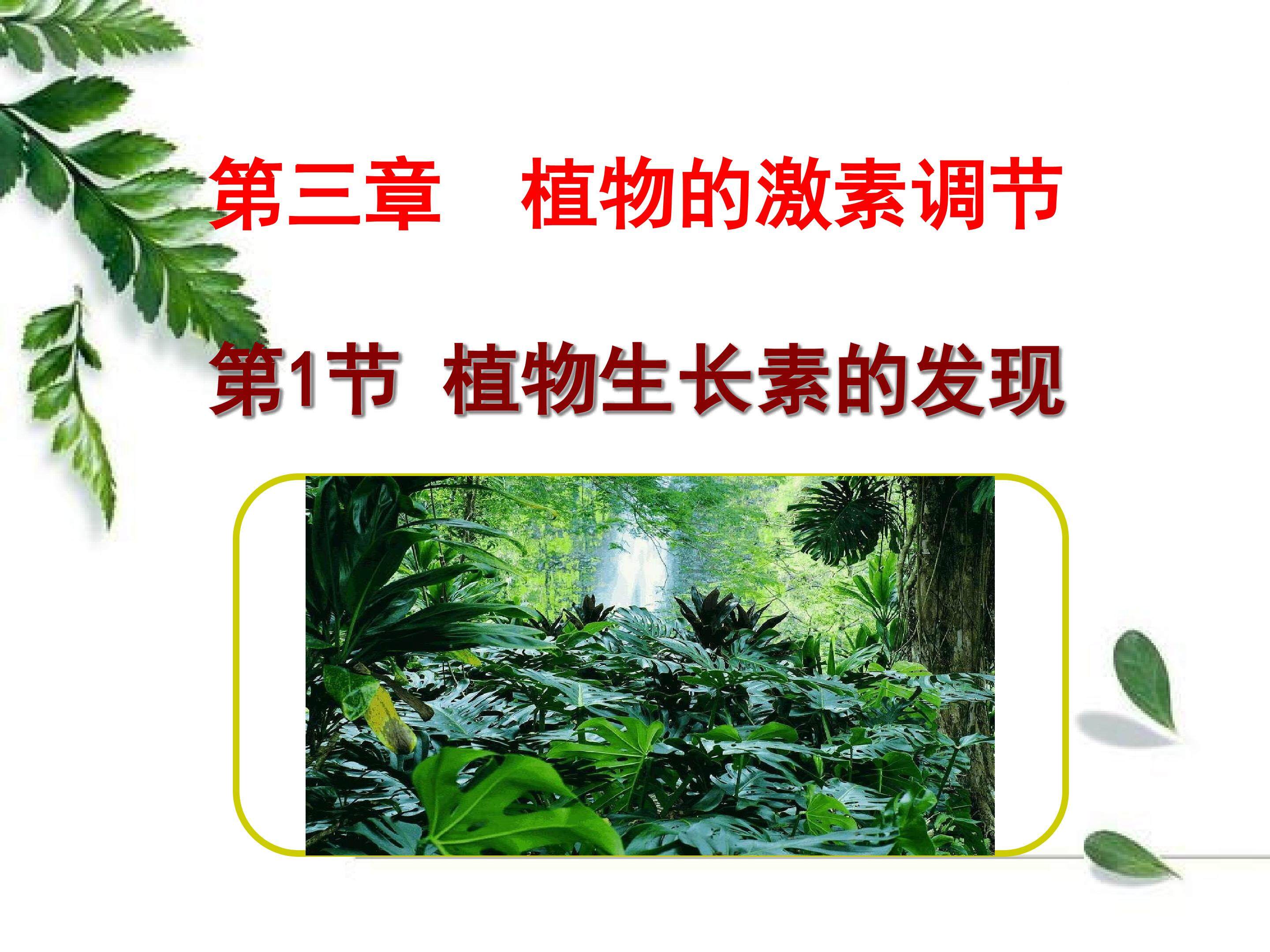 植物生长素的发现