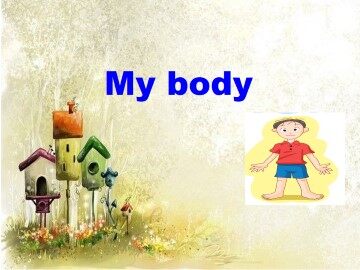 My body_课件1