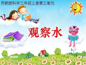 2. 观察水