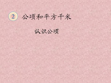 2 公顷和平方千米
