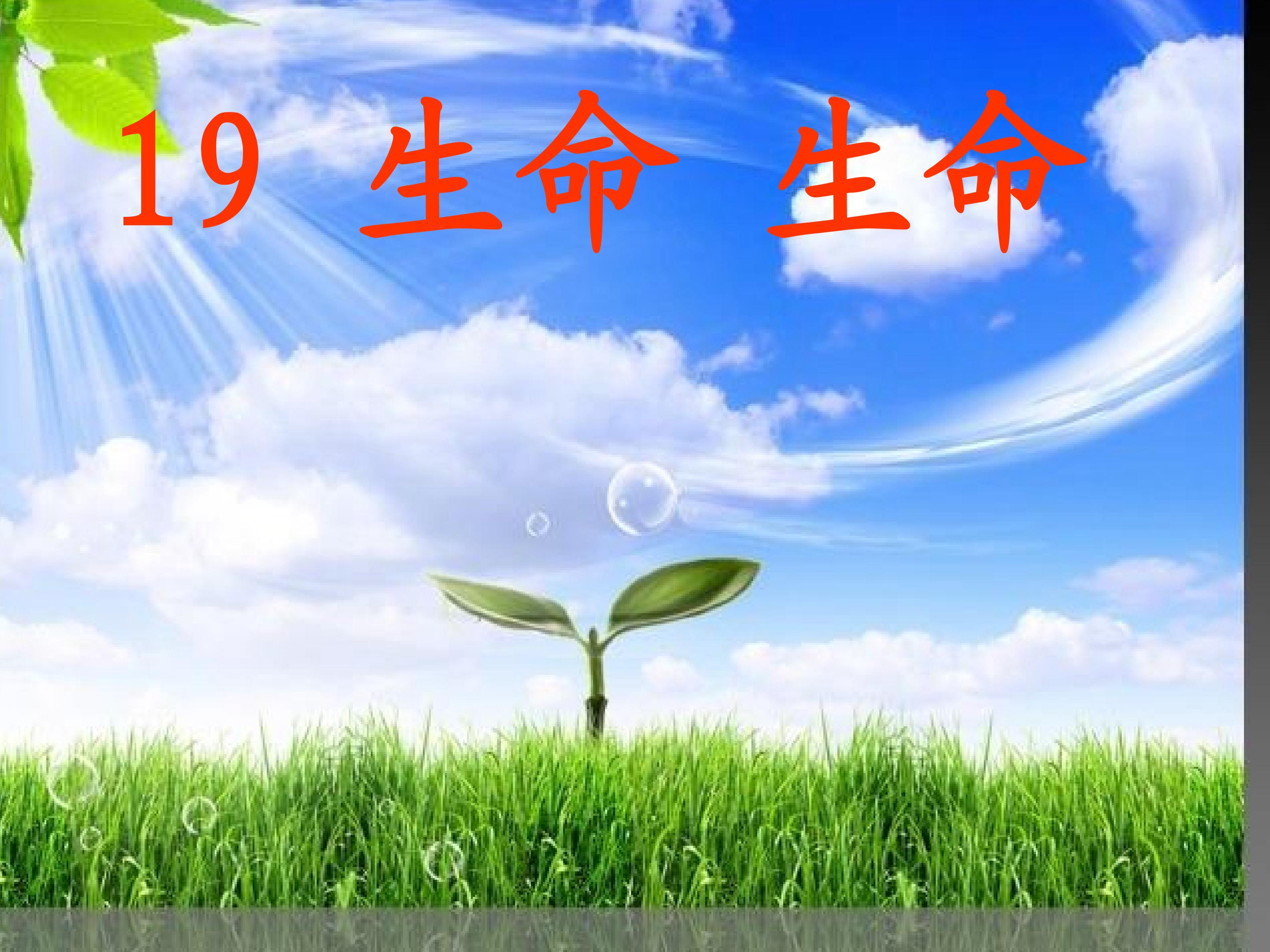 生命 生命