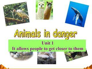 It allows people to get closer to them._课件2