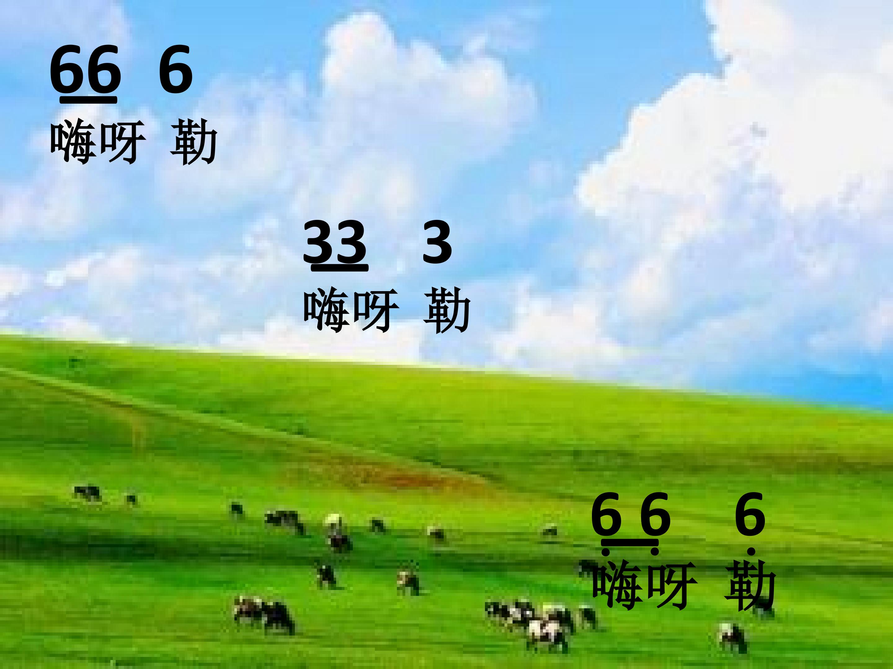 27.jpg