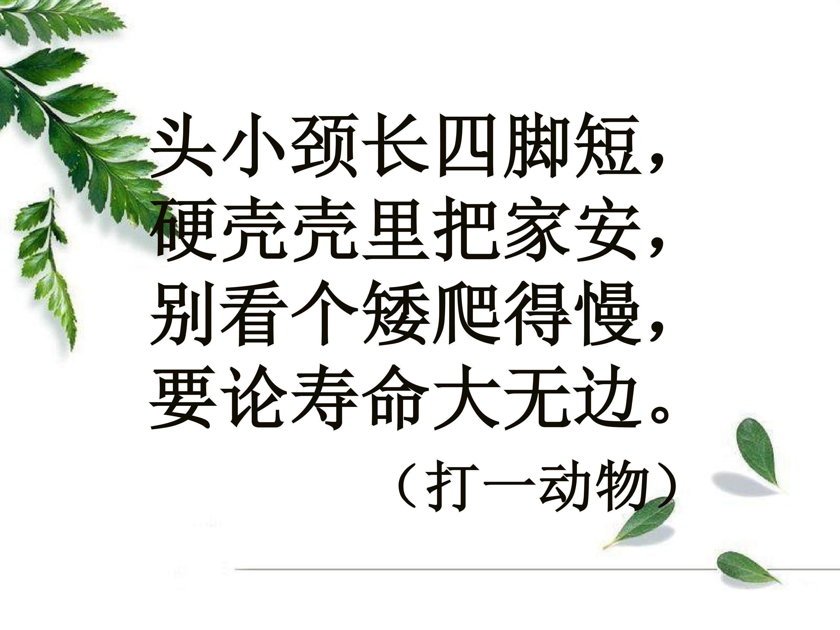 小乌龟找工作