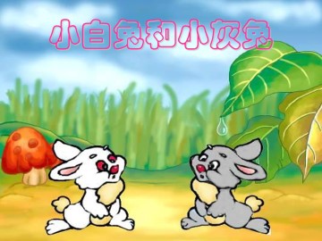 小白兔和小灰兔_课件3