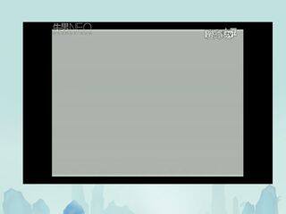 实验活动3 燃烧的条件