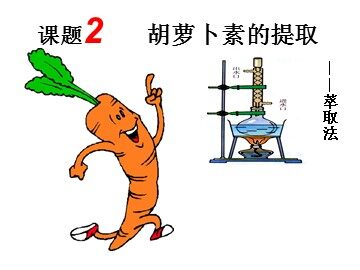 课题2　胡萝卜素的提取 