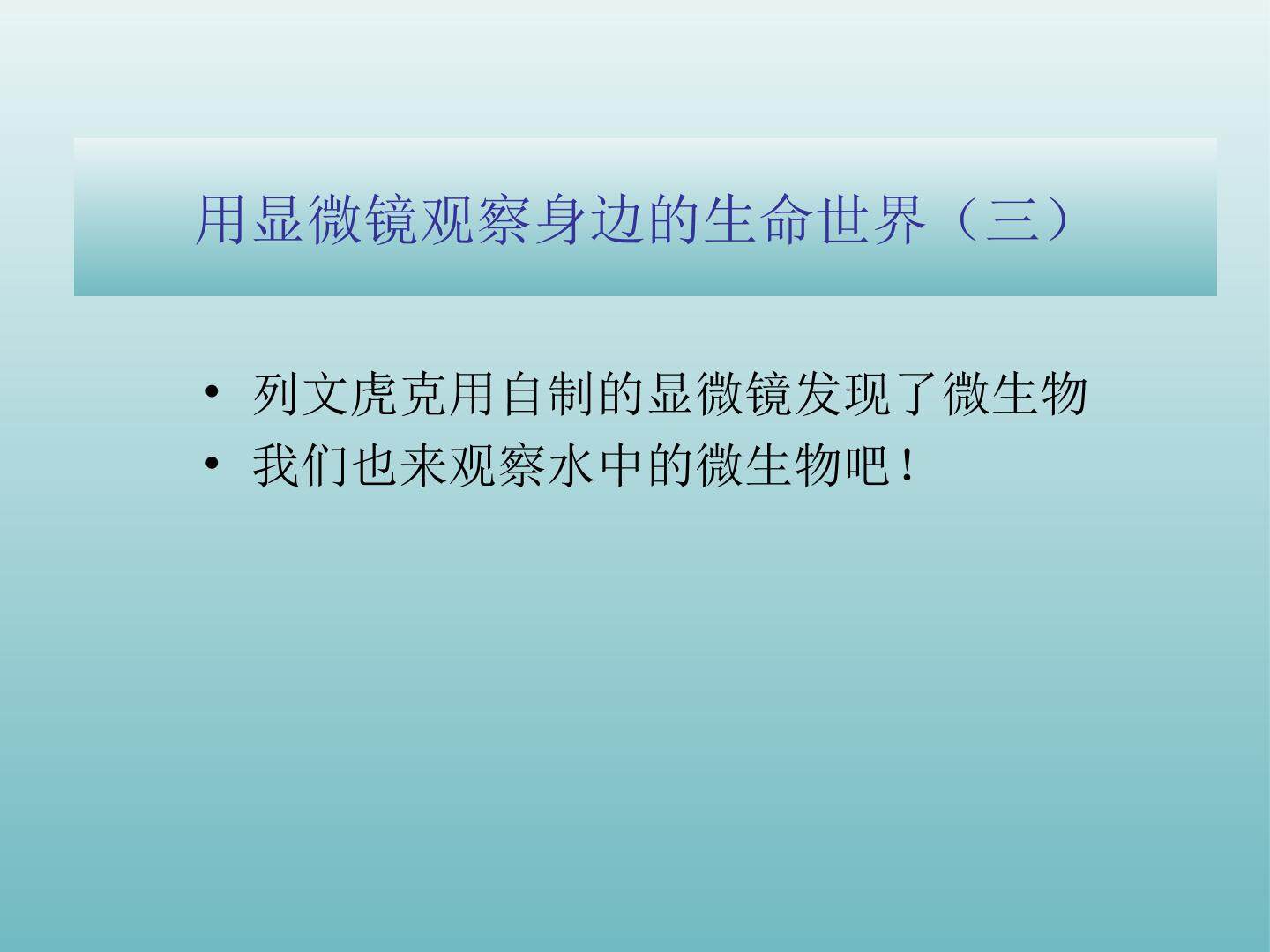 用显微镜观察身边的生命世界（三）_课件1