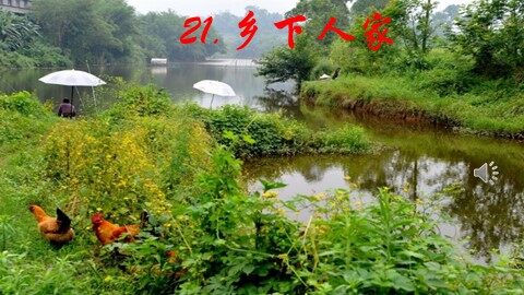 21 乡下人家