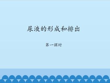 尿液的形成和排出-第一课时_课件1