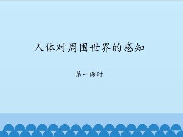 人体对周围世界的感知-第一课时_课件1