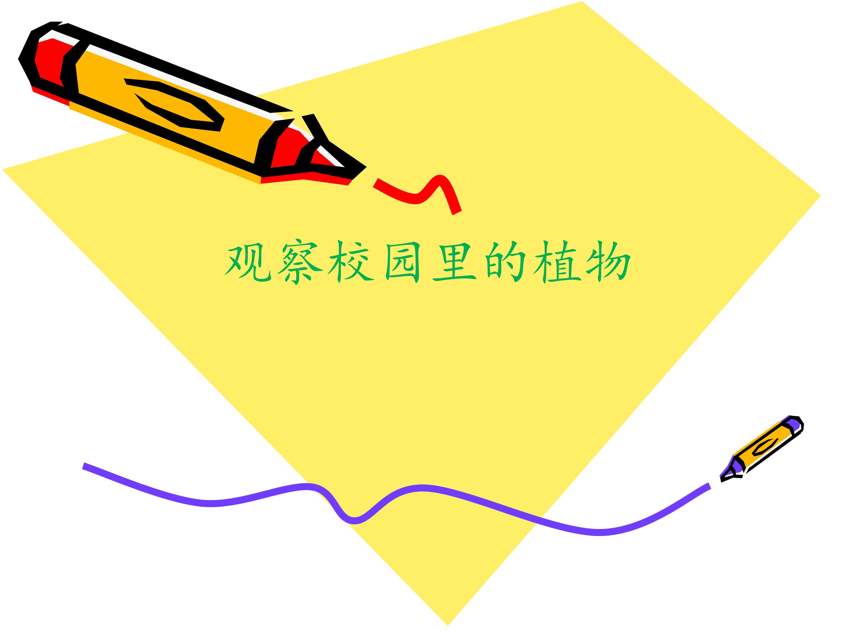 观察校园里的植物_课件1