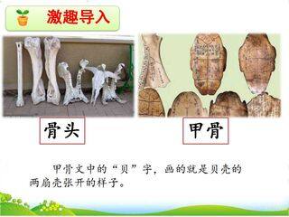 “贝”的故事