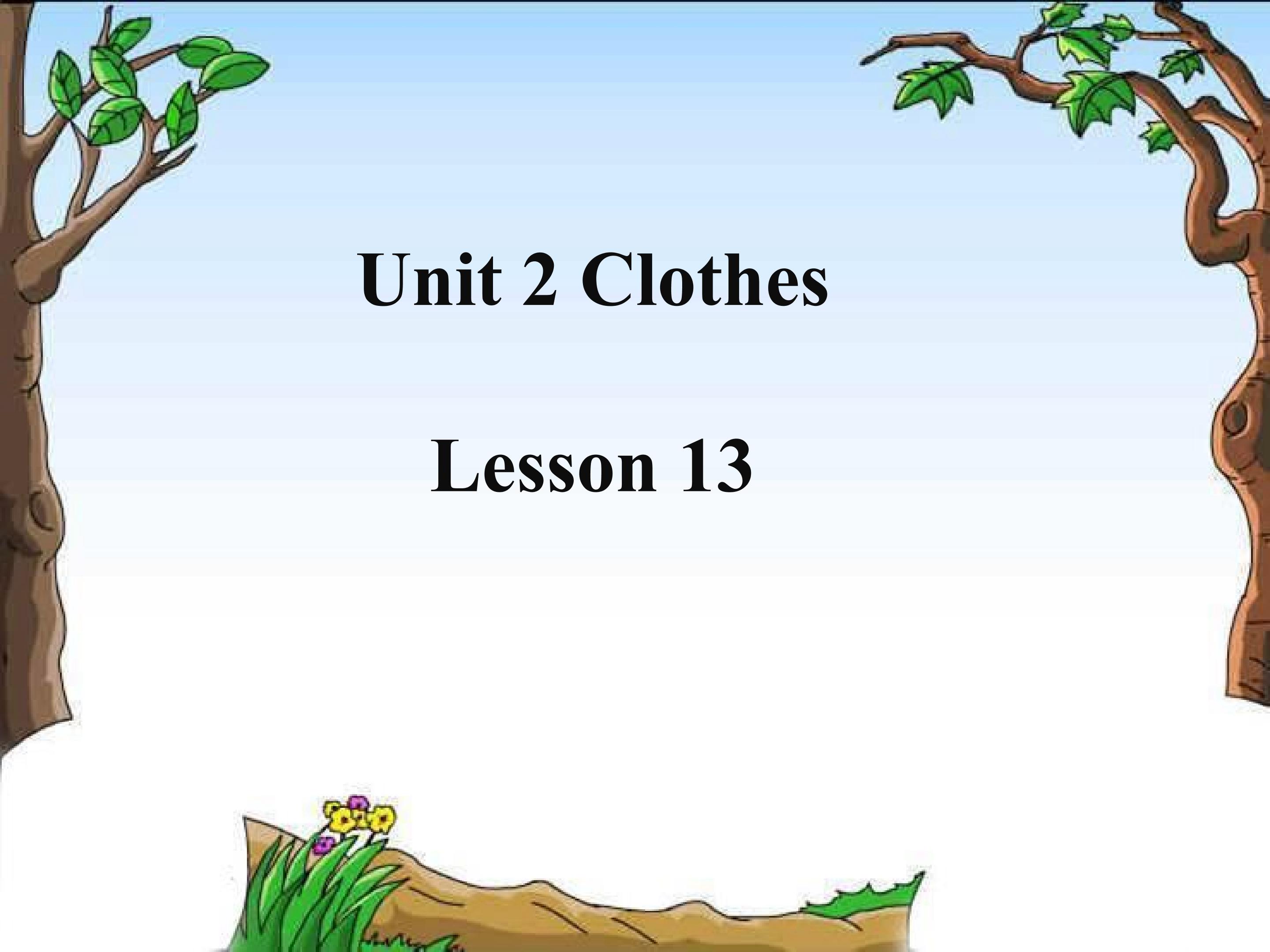 Unit 2 Clothes Lesson 13 