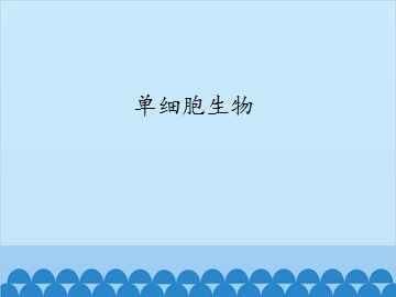 单细胞生物_课件1