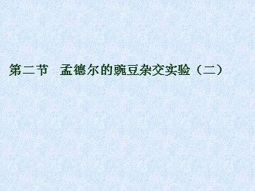 生物高中必修2第一章第二节第二课时课件2