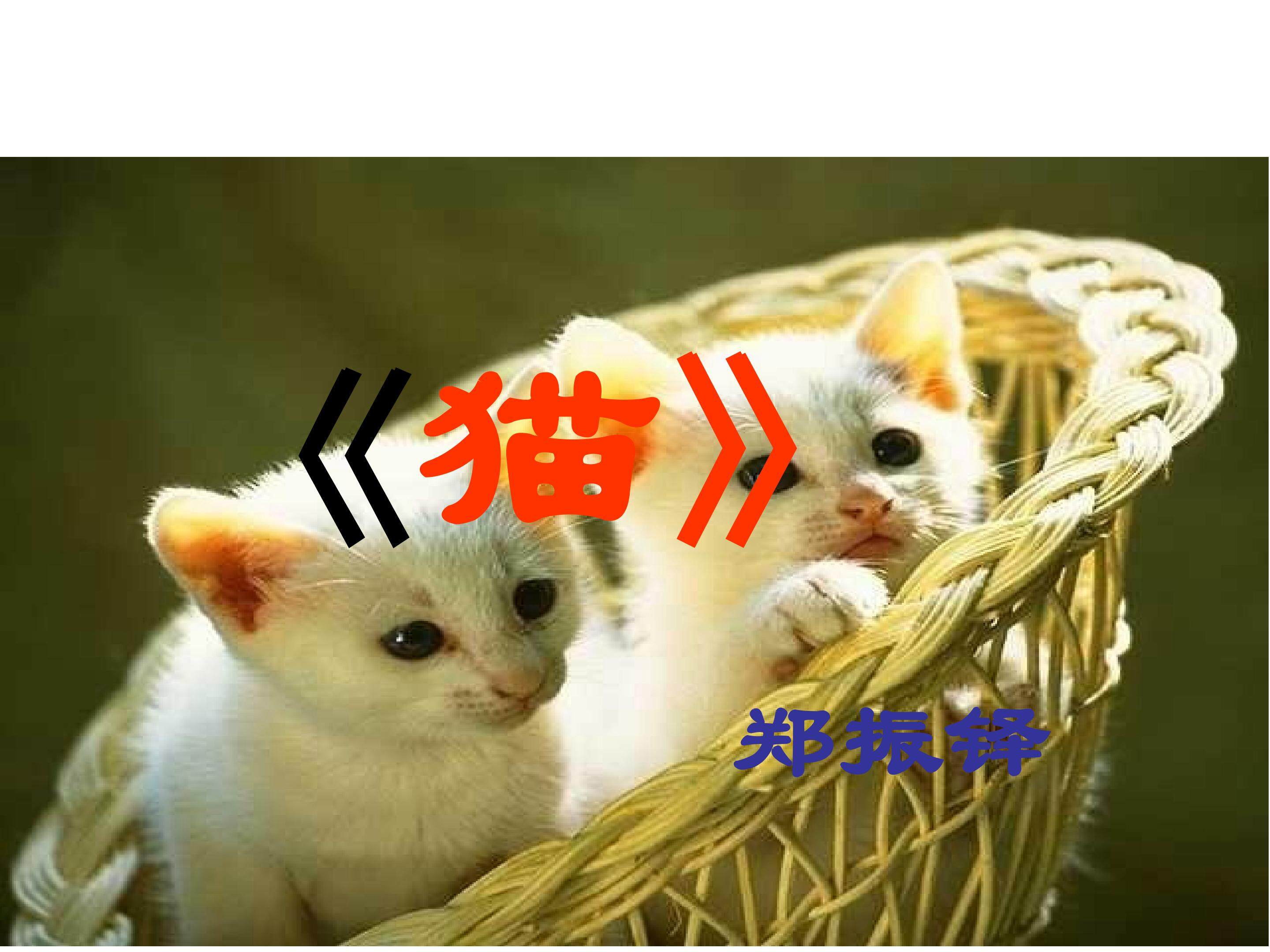 《猫》