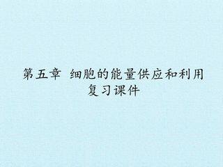 第5章  细胞的能量供应和利用 复习课件