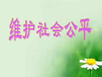 ○ 维护社会公平