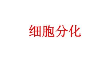 细胞分化_课件1