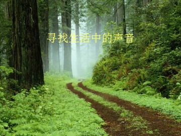 寻找生活中的声音_课件1