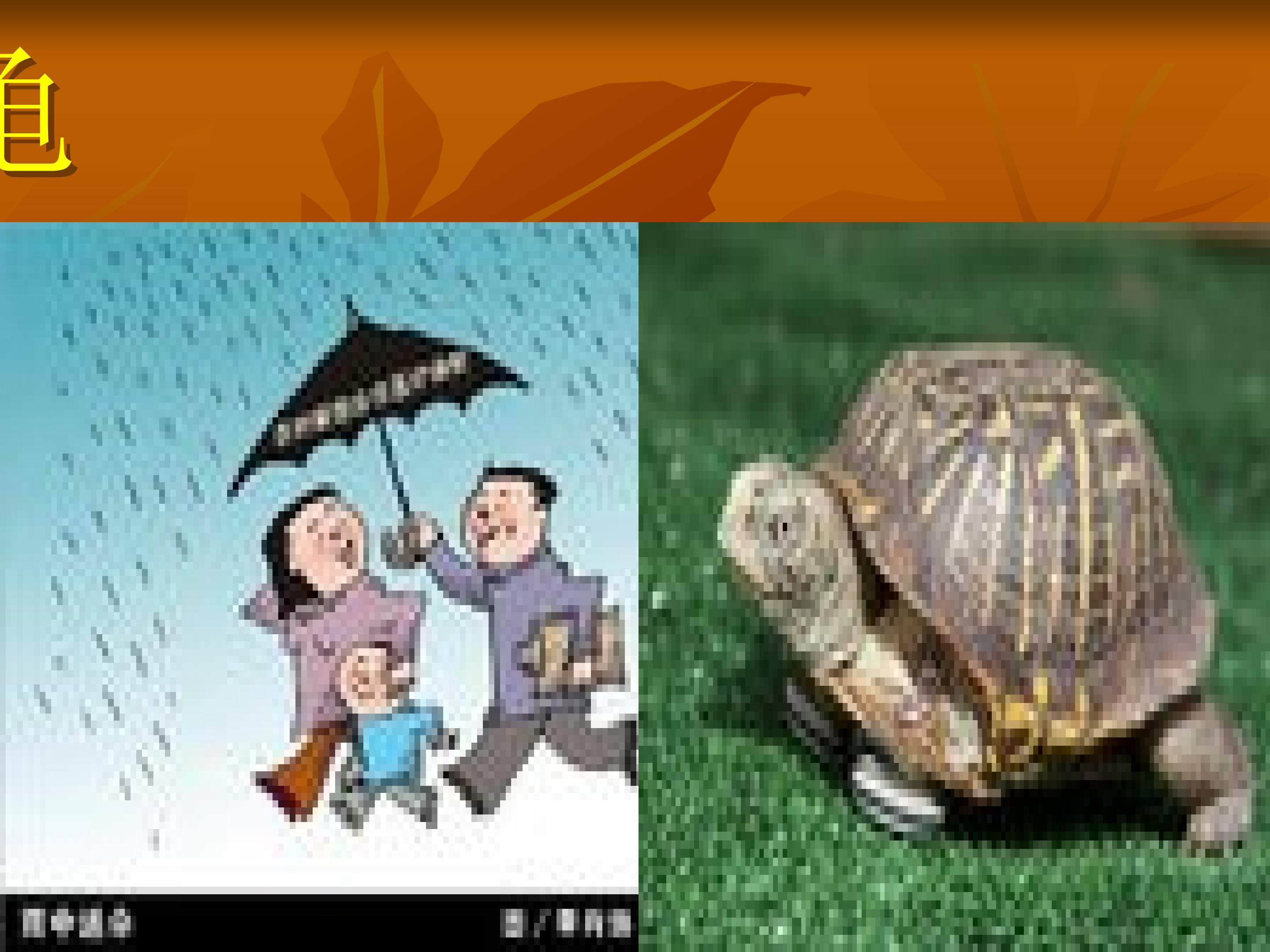 送小龟回家