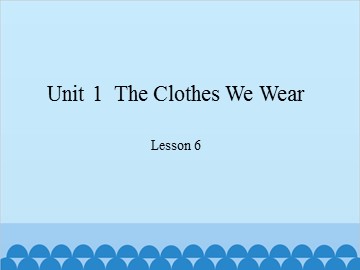 Unit 1  The Clothes We Wear Lesson 6_课件1