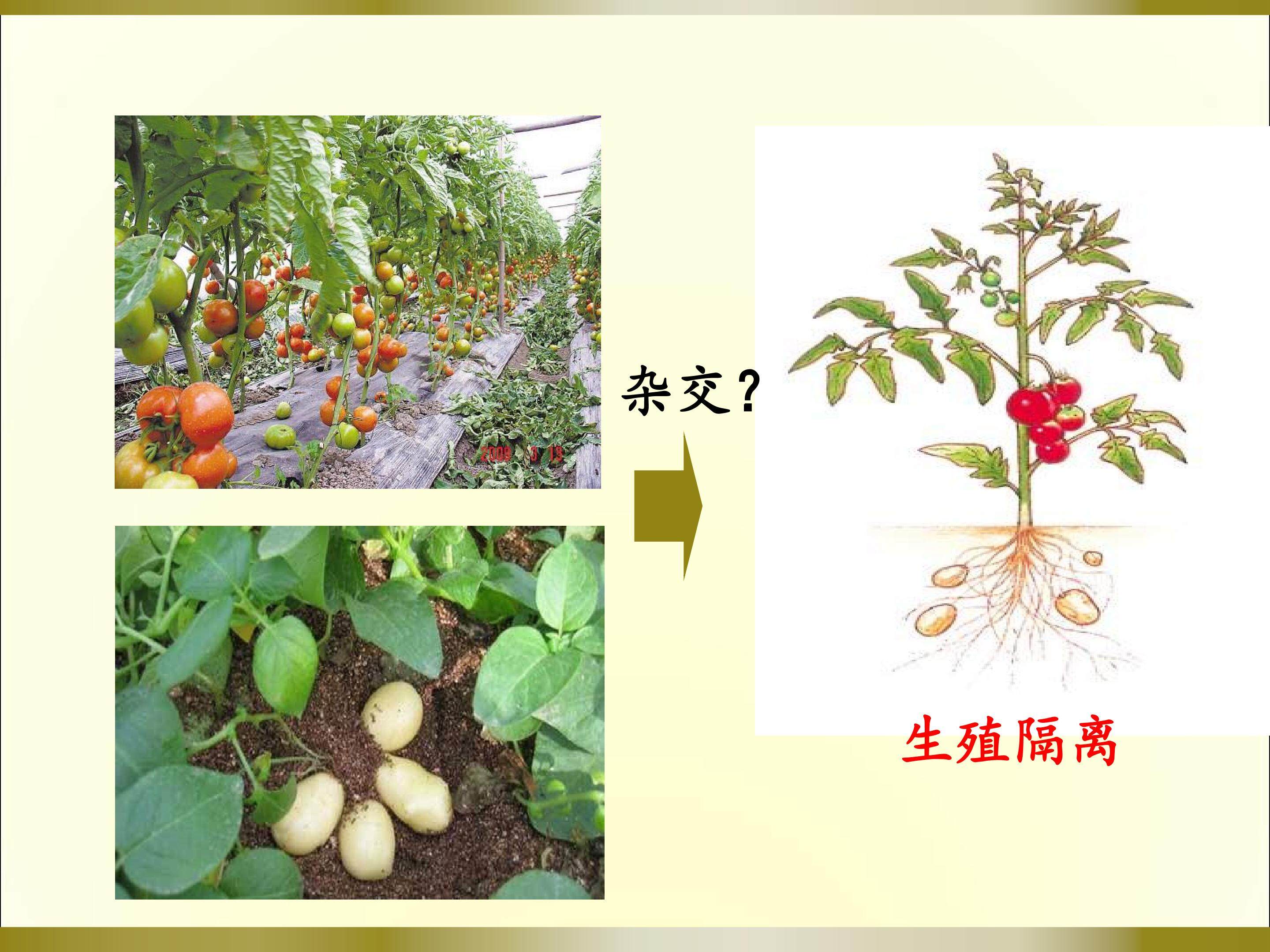 植物细胞工程的基本技术