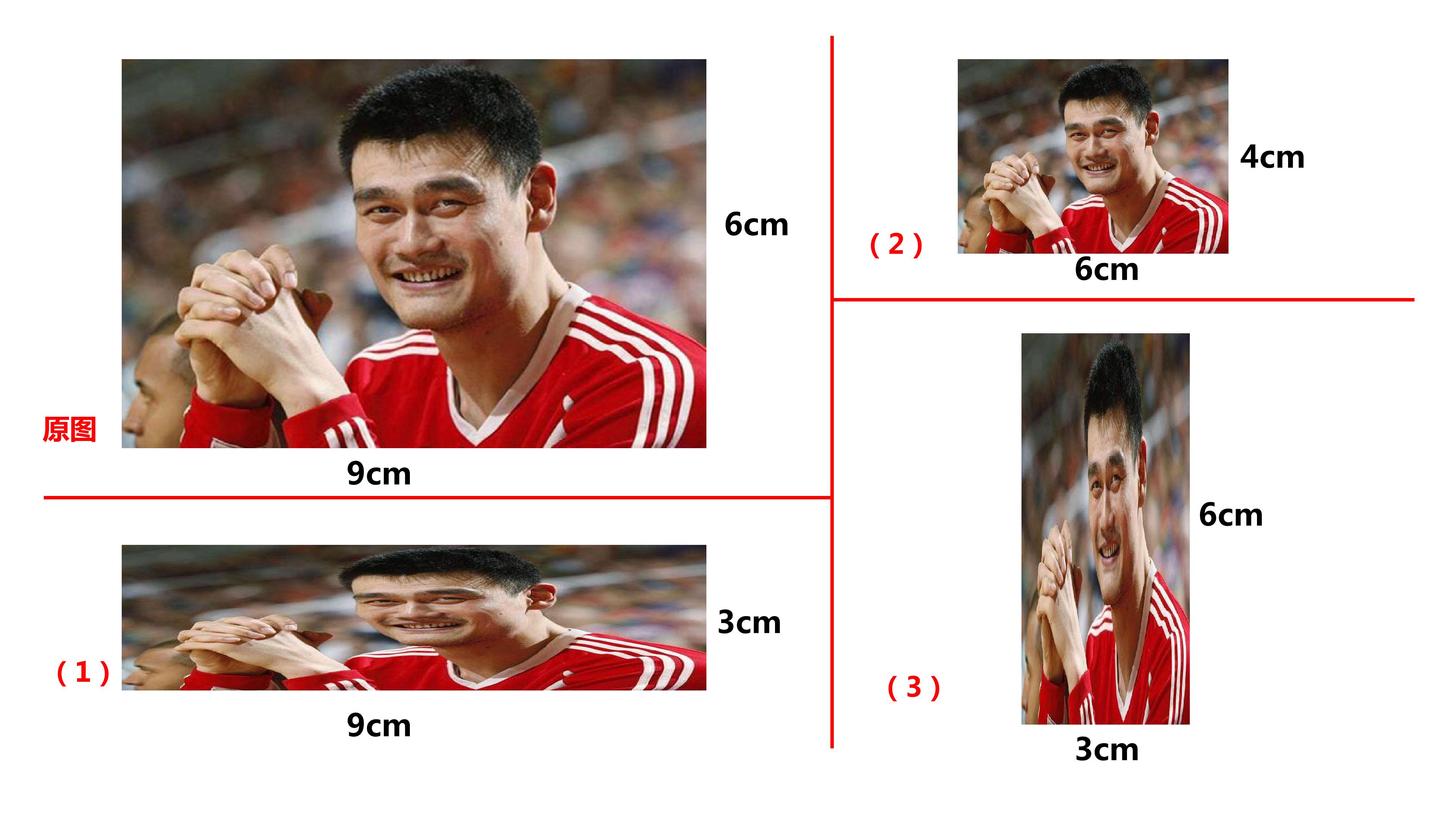 15.jpg