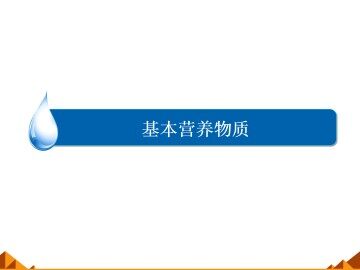 基本营养物质_课件13
