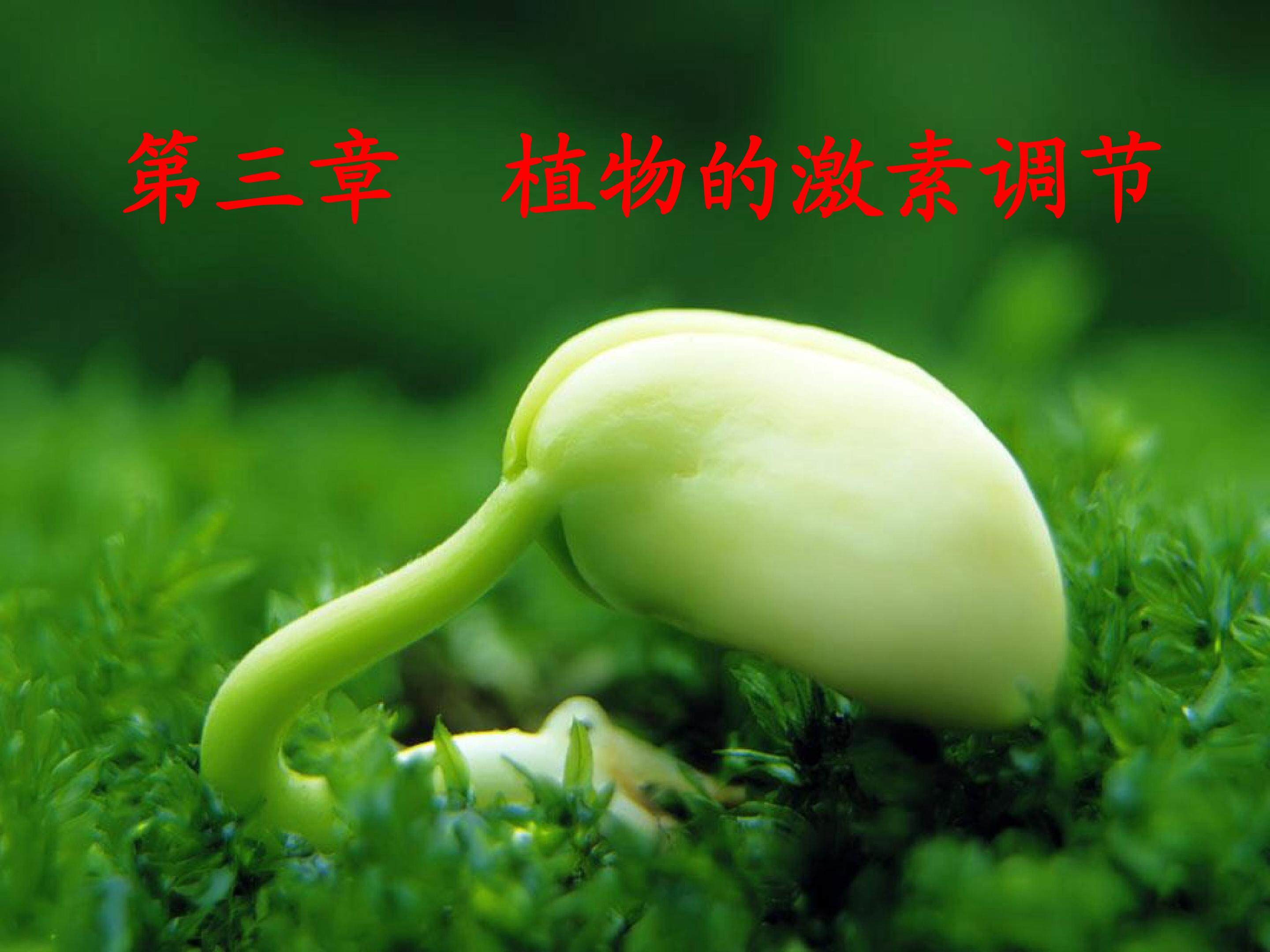 植物生长素的发现