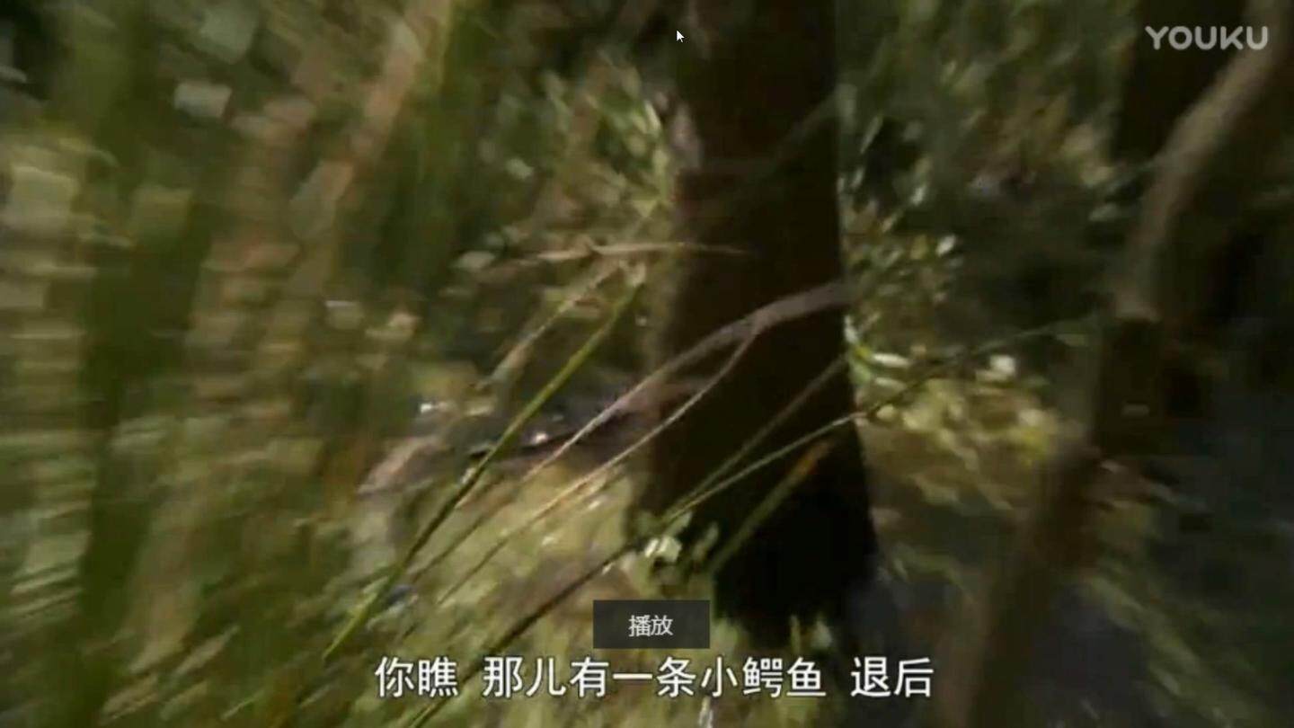 口语交际