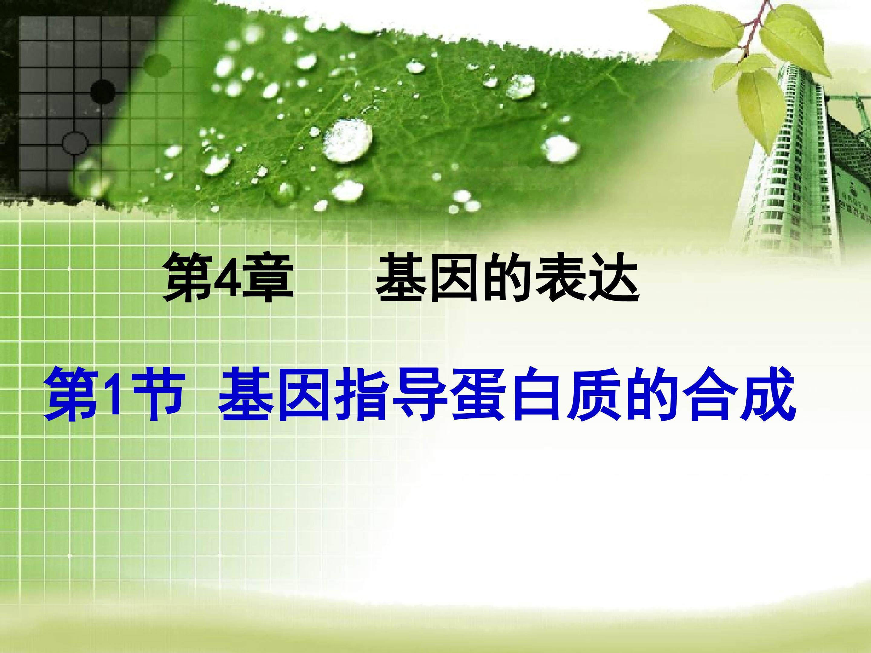 基因指导蛋白质的合成