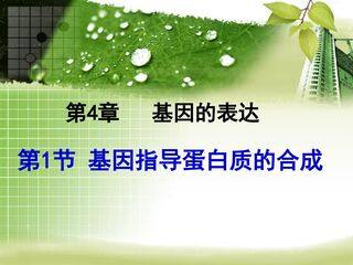 基因指导蛋白质的合成