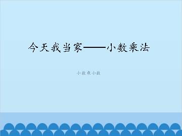 今天我当家——小数乘法-小数乘小数_课件1