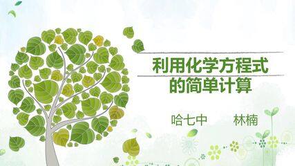 化学方程式的简单计算