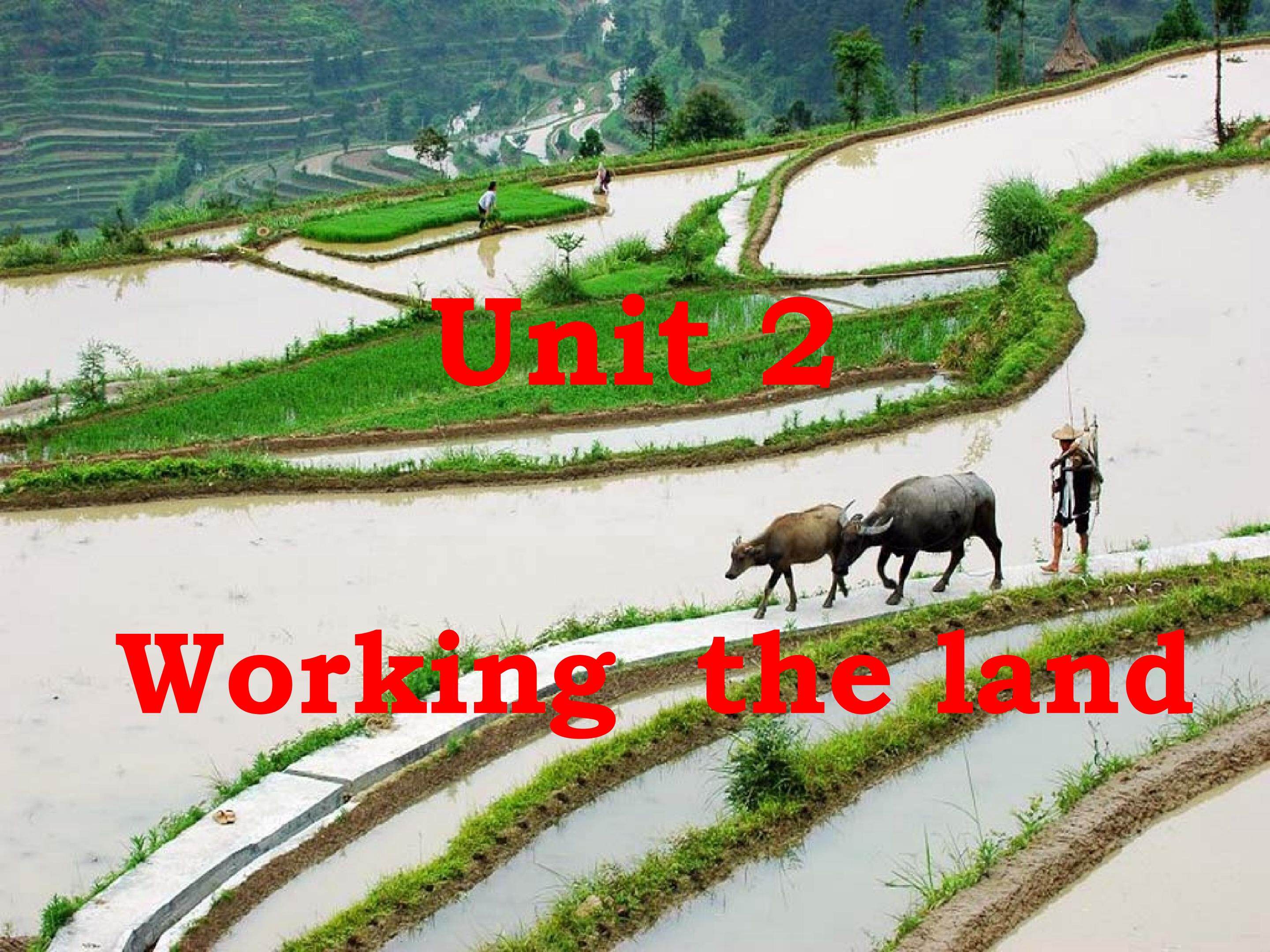 Unit2 Working the Land