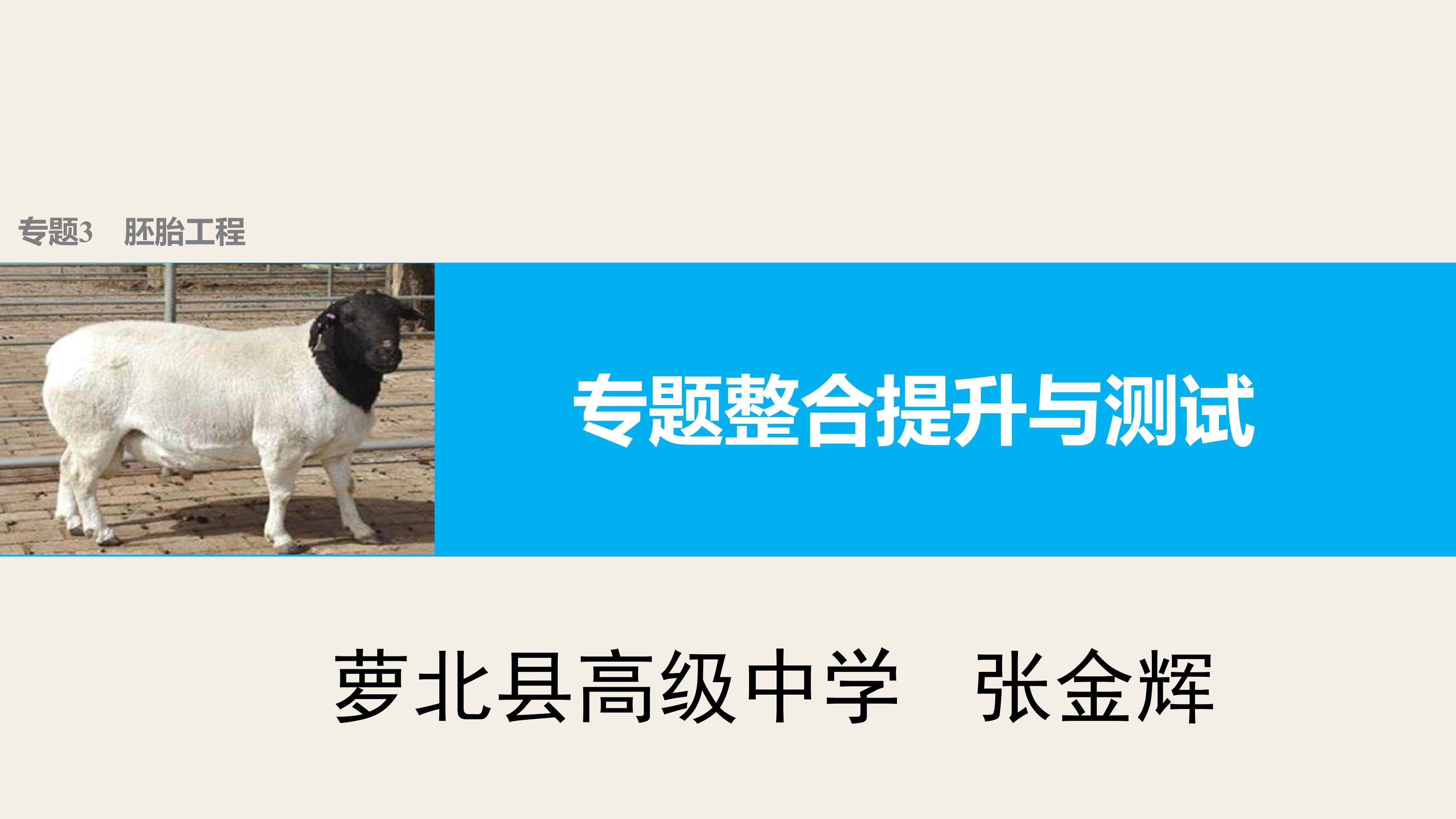 胚胎工程